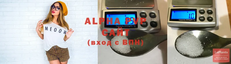 Альфа ПВП Соль  магазин    Каргополь 